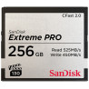 256gb scheda compact flash sandisk 2.0 vpg130 extreme pro sdcfsp-256g-g46d