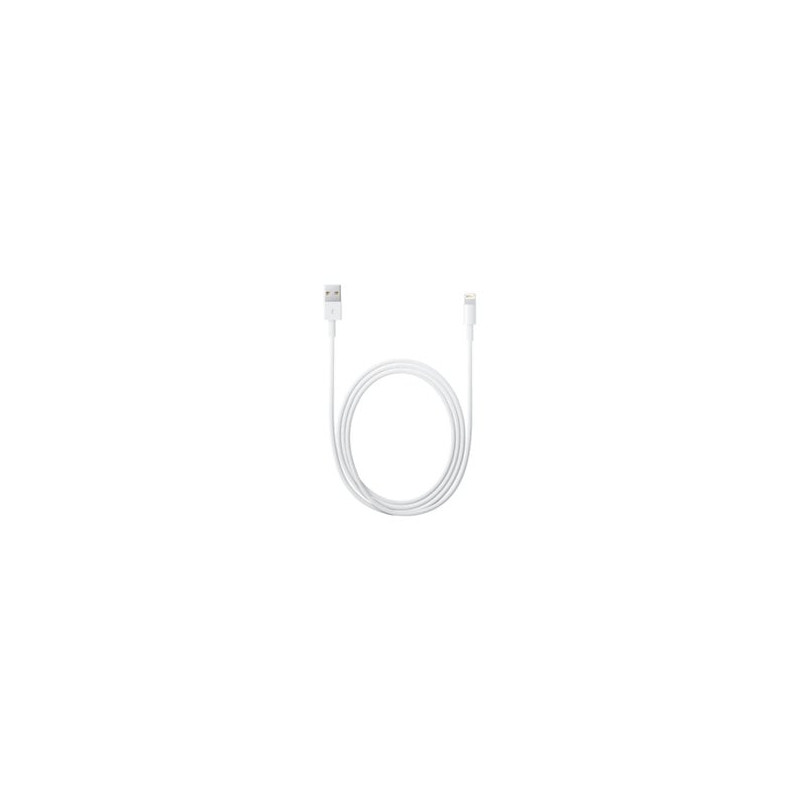 Apple lightning su usb cavo 2,0 m md819zm/a [md819zm/a]