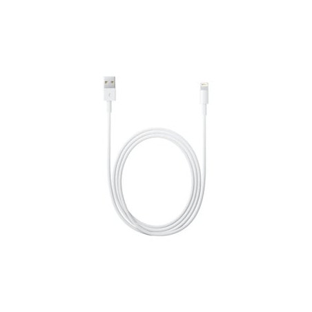 Apple lightning su usb cavo 2,0 m md819zm/a [md819zm/a]