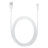 Apple lightning su usb cavo 2,0 m md819zm/a [md819zm/a]