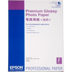 Carta fotografica epson 25 fogli a2 255gr premium glossy s 042091