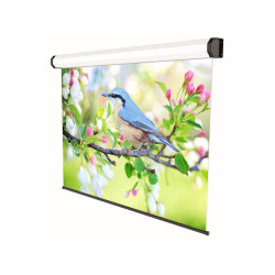 schermo proiezione sopar motorizzato 240x150 bianco [5245]