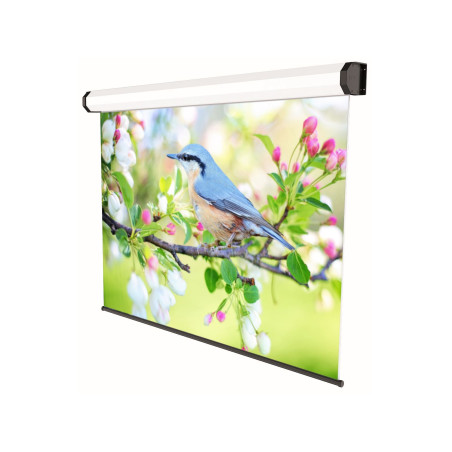 schermo proiezione sopar motorizzato 240x150 bianco [5245]