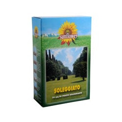 Sementi prato soleggiato kg 0,25 sunflower [sunflower ]