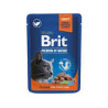 cibo umido brit premium pouch carne completo in salsa per gatti 100gr