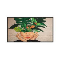 public display 43" philips d-line 43bdl4510d 4k ultra hd