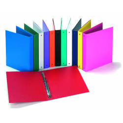 Raccoglitore ad anelli hamelin 100460395