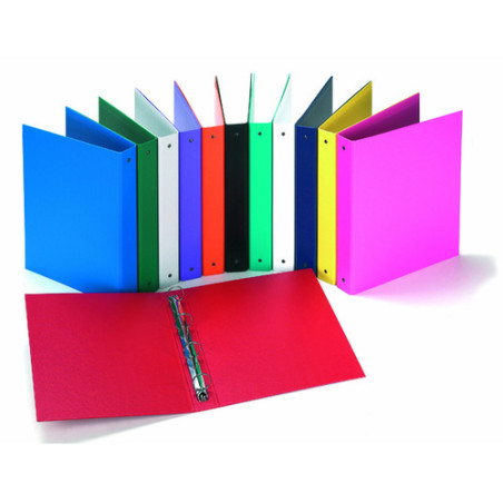 Raccoglitore ad anelli hamelin 100460396