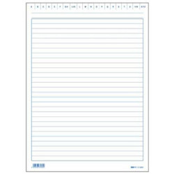 100 schede rigate verticale 24x17cm e3393bl edipro [e3393bl]