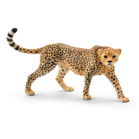 schleich - gepardin [14746]