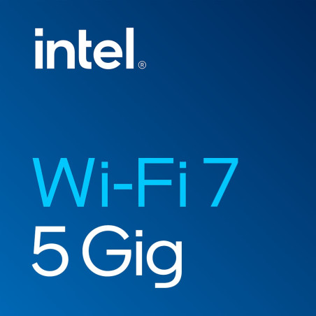 scheda di rete intel wifi 7 be200 wireless [be200.ngwg]