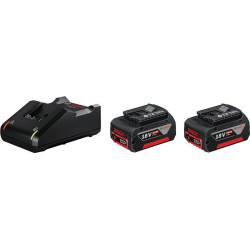 batterie bosch 2x 4.0ah + gal 18v-40 batt. [1600a019s0]
