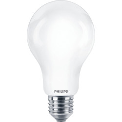 lampadina led philips e27 a67 6500k 150w bianco [led150smcdlp]