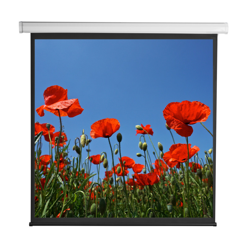 schermo di proiezione sbox motorizzato 112'' 200x200cm psa-112-2