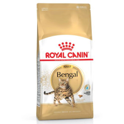 cibo secco per gatti royal canin bengal adulto 10kg