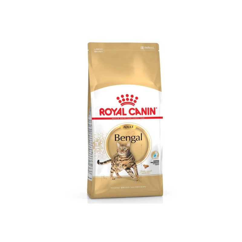 cibo secco per gatti royal canin bengal adulto 10kg
