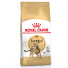 cibo secco per gatti royal canin bengal adulto 10kg