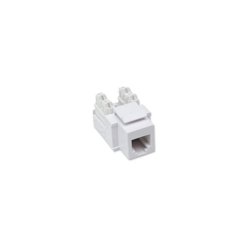 Frutti telefonici rj11/rj12 keystone bianco