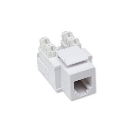 Frutti telefonici rj11/rj12 keystone bianco