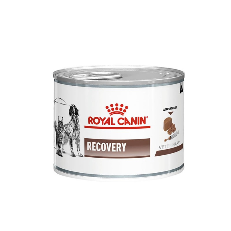 cibo umido per cani royal canin recovery wet 195 g