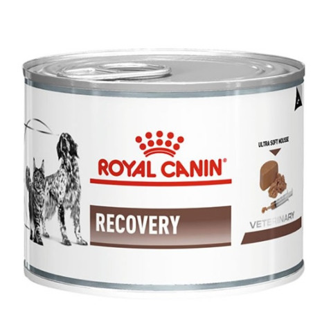 cibo umido per cani royal canin recovery wet 195 g