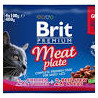 cibo umido brit premium piatto di carne per gatti 4x100gr