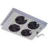 Gruppo di 4 ventole a soffitto senza termostato per rack 19''