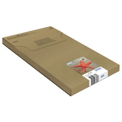 cartuccia d'inchiostro epson 603 multicolore n/c/m/g [c13t03u64510]