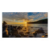 pannello piatto interattivo samsung if020r full hd 480x270p smart