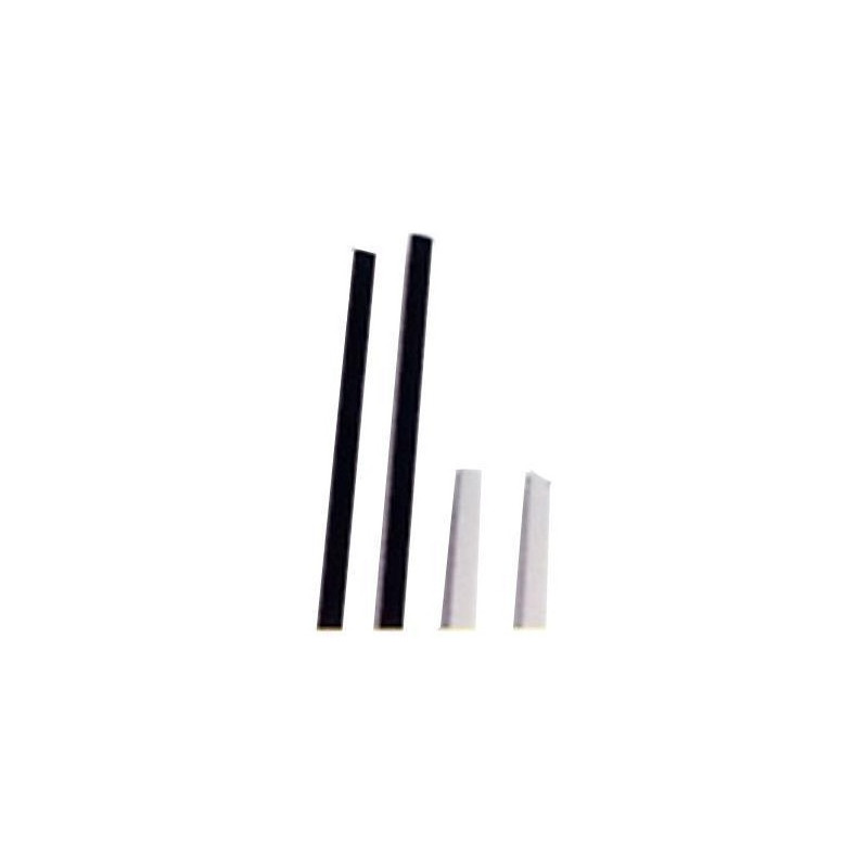 dorsini fellowes leonardi cf25x2 rilegaposter bianco [r100bi]