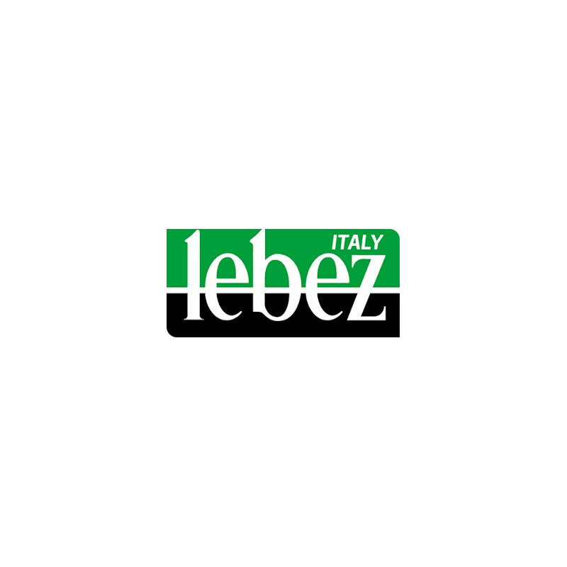 cartellinee lebez spa cf3 a4 fluo c/bottone [80438]