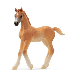 figurina schleich horse club puledro arabo [13984]