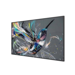 public display led 55" philips q-line 55bdl3511q 4k ultra