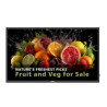 monitor digital signage led 54.6'' philips 55bdl5050d 4k