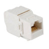 frutto keystone techly rj45 utp cat.6 tooless bianco