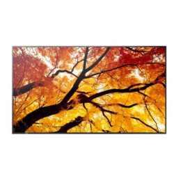 monitor digital signage led 75'' sharp multisync m752 4k