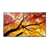 monitor digital signage led 75'' sharp multisync m752 4k