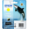 Cartuccia epson giallo t 7604 [c13t76044010]