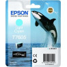 Cartuccia epson light ciano t 7605 [c13t76054010]