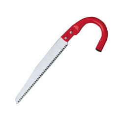 Segaccio diritto m/co c 300 34070 ausonia [ausonia ]