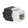 Adattatoredi rete logilink frutto keystone rj45 cat6a utp punch-down