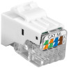 Adattatore di rete intellinet frutto keystone toolless rj45 cat5e