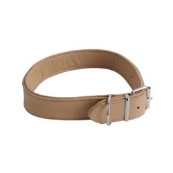 Collare cani il campo fc cucito mm 35 cm 65 07664 [il campo]