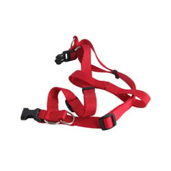 Pettorale per cani il campo nylon 25mm 50/80cm 07646 [il campo]