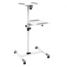 Supporto techly trolley universale per notebook / videoproiettore,