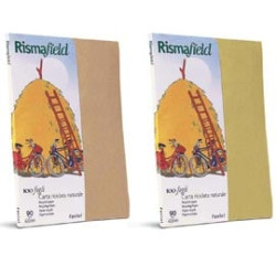 Carta in risma colorata favini 100 fogli a4 90gr riciclata nocciola