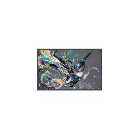 monitor led 75" philips 75bdl3511q 4k ultra hd 3830x2160p 8ms