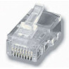 plug rj45 equip western 8p8c rj12 100 pz. [121151]