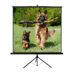 schermo per proiezione sopar tp new junior 240x240 [1224nj]