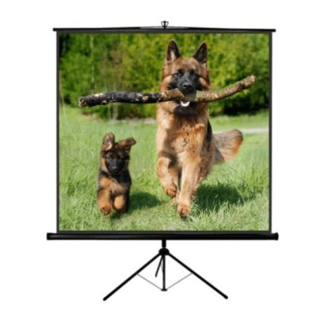 schermo per proiezione sopar tp new junior 240x240 [1224nj]